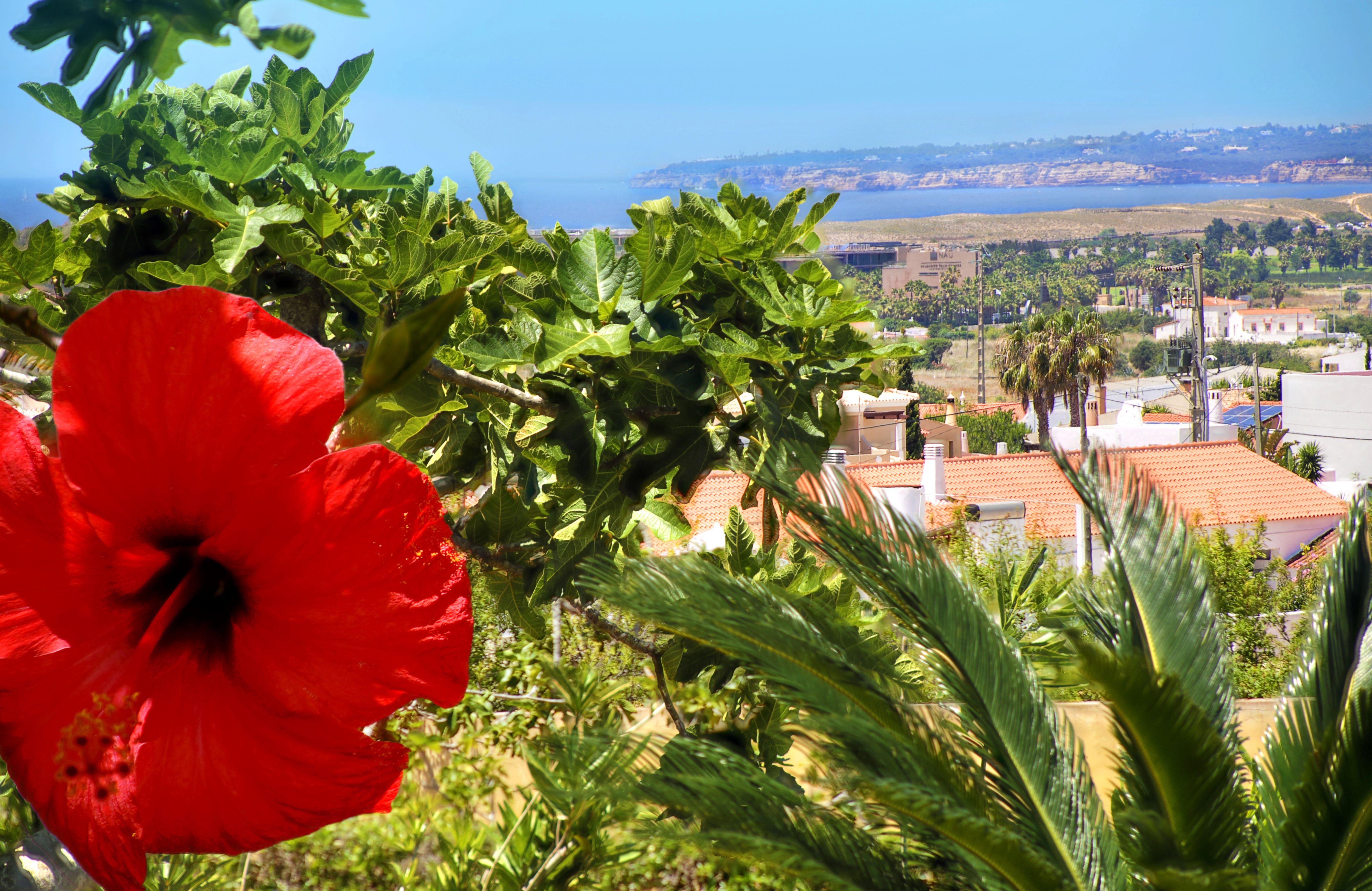 Parque Monte Verde Αλμπουφέιρα Εξωτερικό φωτογραφία