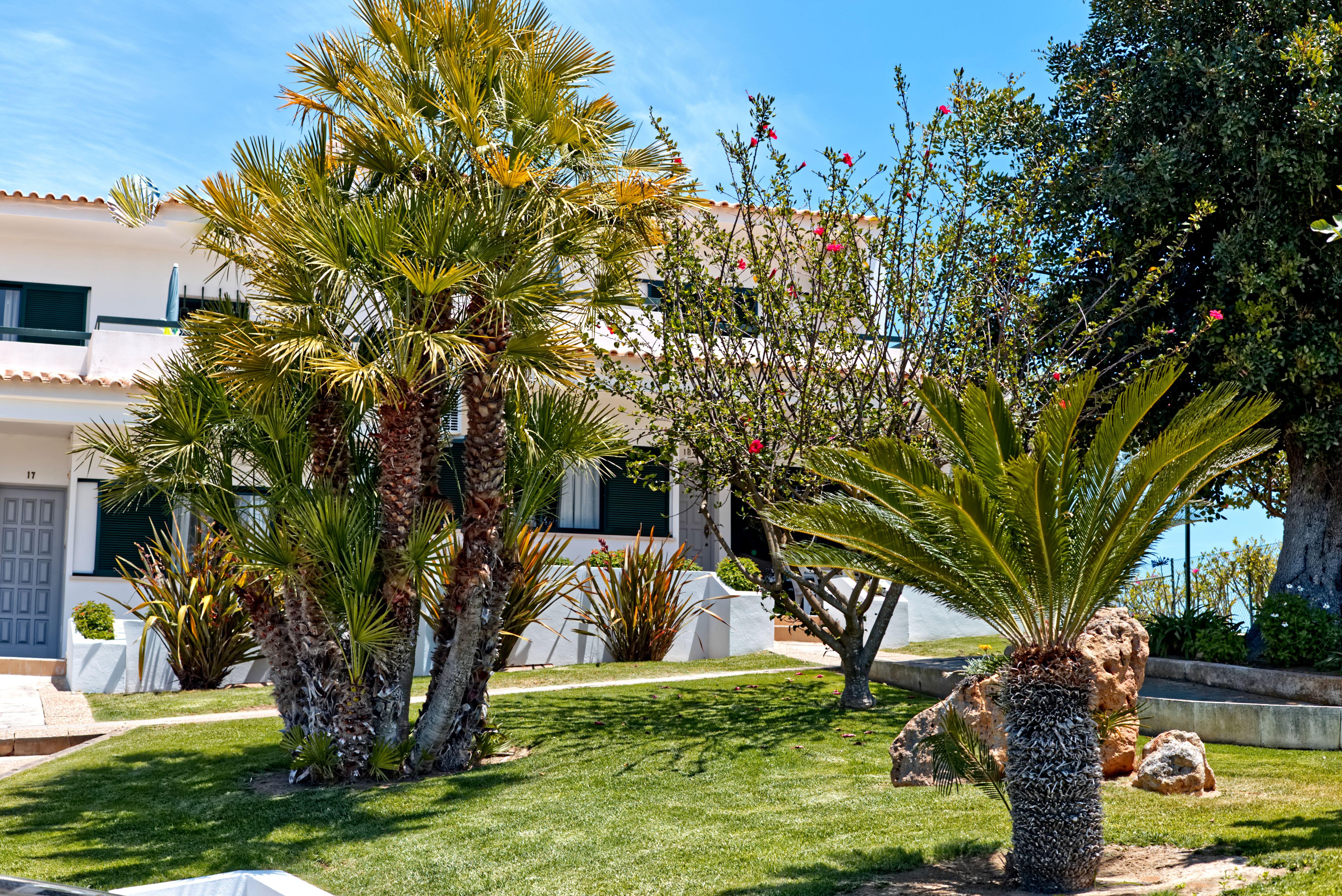Parque Monte Verde Αλμπουφέιρα Εξωτερικό φωτογραφία